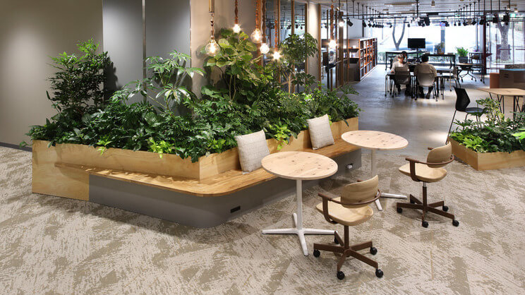 Bright collaborative office space